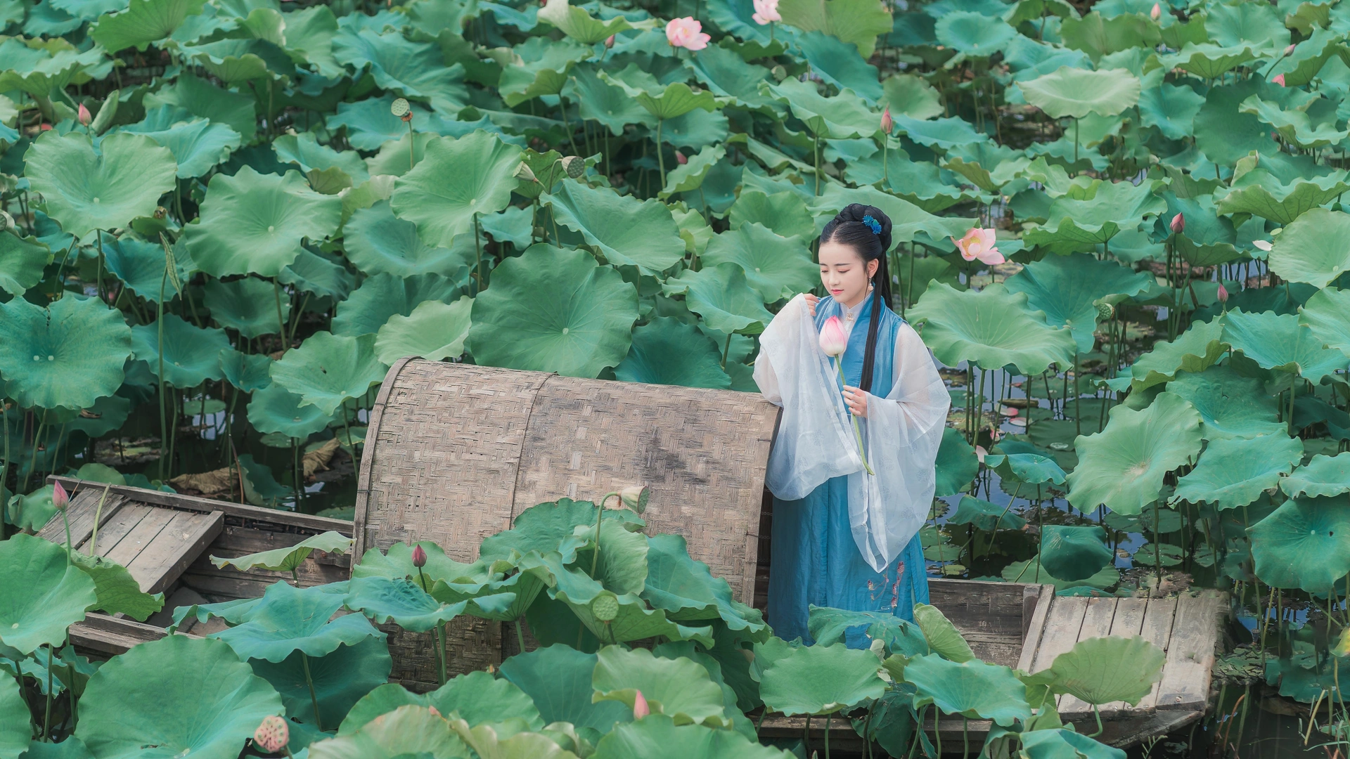 拿相机的执义 - NO.39 汉服写真成都约拍『莲花渡』 1
